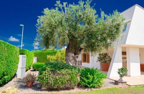 Polignano a Mare Villa | Villa Rosa - Holiday Home