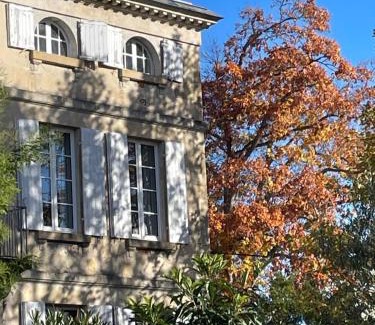 Bazas Bed & Breakfast | Villa Séquoia - Belle chambre SDB privée et petit salon