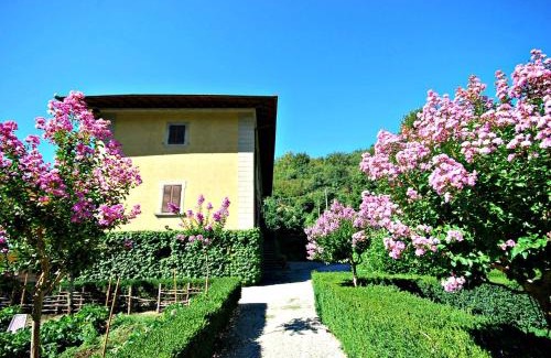 Borgo San Lorenzo Villa | Villa Salaiole