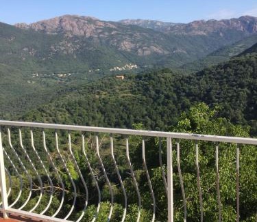 Sainte-Lucie-de-Tallano Villa | VILLA SANTINE AVEC TERRASSES et VUE PANORAMIQUE meublé tourisme 4 étoiles