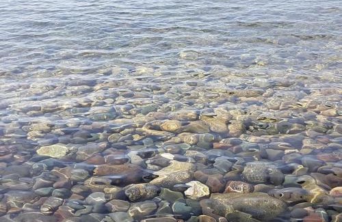 Sorso Villa | Villa Secchi bifamiliare sul mare IUNP4784