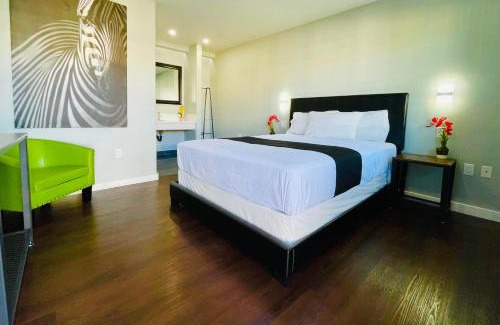 El Cajon Hotel | Villa Serena