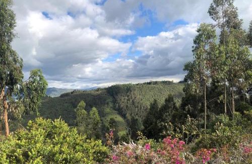 El Rosal House | Villa Shalom