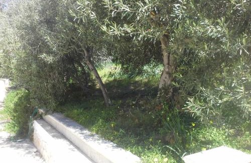 Eden Beach Apartment | Villa Solinas