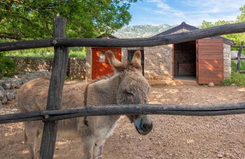 Seline Villa | Villa Stone House Magarac