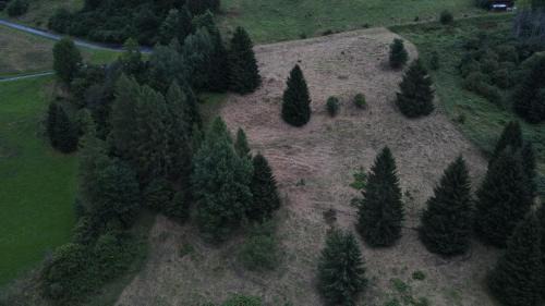 Santo Stefano di Cadore House | Villa Tersilla