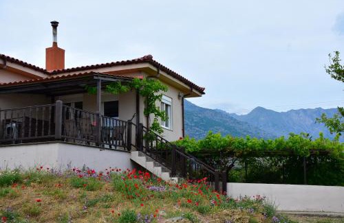 Kamariotissa Villa | Villa Thanos