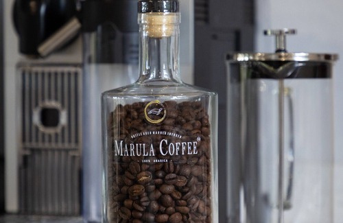 Hoedspruit Villa | Villa Thornybush: Light and elegantly designed villa