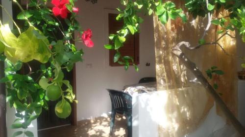 Scialara Apartment | Villa Tiarè