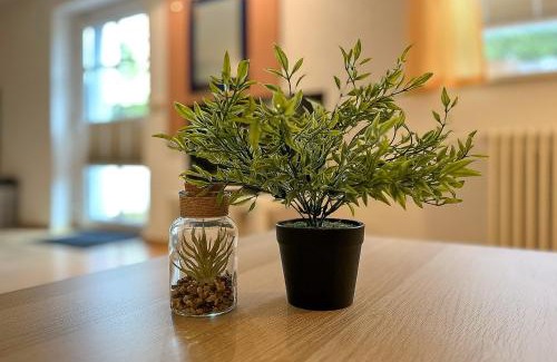 Tarnewitz Apartment | Villa Triton Souterrain Wohnung 07