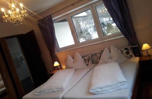 Semmering Apartment | Villa Wellspacher - renovated 19th Century Villa - private Apartments sleep up to 5 & Free Parking
