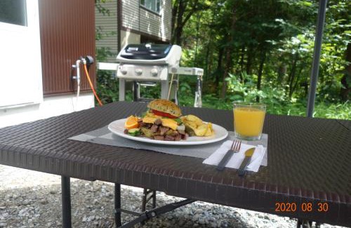 Hakuba Villa | Villa Wellstone O'sam