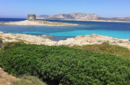 Stintino Villa | Villa with exclusive swimming pool