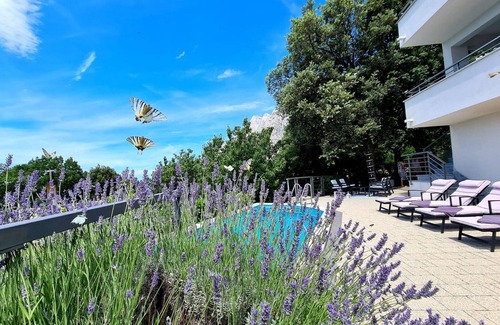 Bast House | Villa with pool, barbecue , patio , quiet location , families welcome