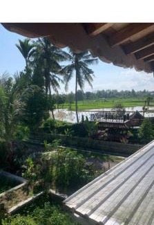 Batukliang Bed & Breakfast | Village house Lombok