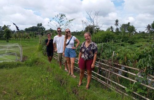 Batukliang Bed & Breakfast | Village house Lombok