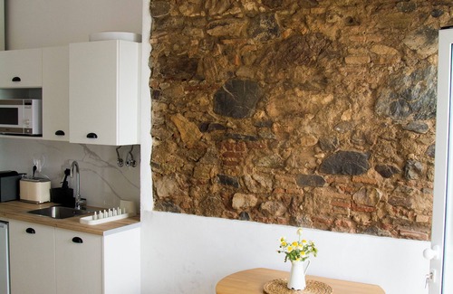 Moura House | Village house with two apartments and shared patio -Casa da Oliveira