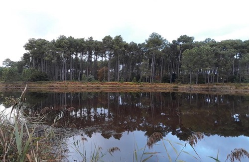 Leon Apartment | Village Sous Les Pins Les Arbousiers A18