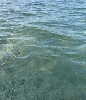 Sarroch House | Villetta farfalle