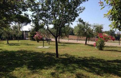 Tavullia House | Villetta le Rose