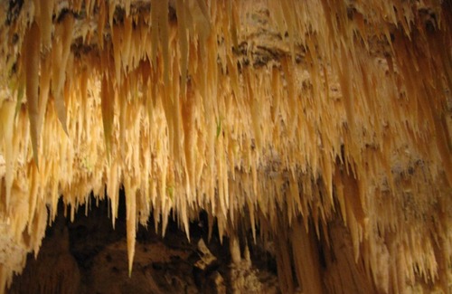 Carovigno Villa | Villetta mare oasi marina Torre Guaceto Ostuni Puglia