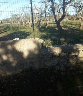 Torre dell'Orso House | Villetta tra gli ulivi