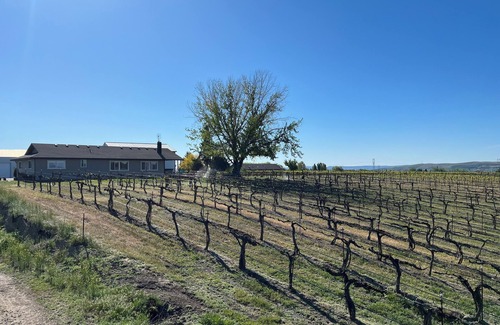 Outlook House | Vineyard views at Dichotomy Vineyards guest house in the Yakima Valley