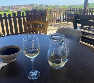 Boretice House | Vinný sklípek s ubytováním