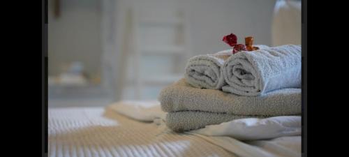 Pouzdrany House | Vinný Tunel - Vinný rodinný pokoj