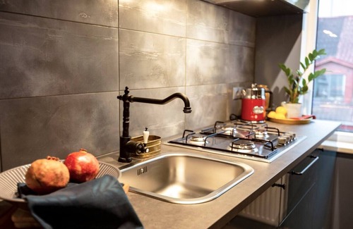 Grizinkalns Apartment | Vintage Apartments Art/Free parking