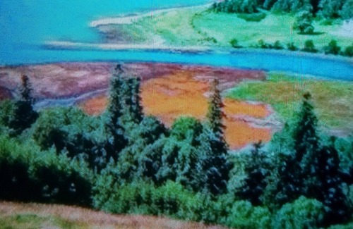 Strontian House | Vintage Caravan - On quiet coastal village campsite, ready for your arrival