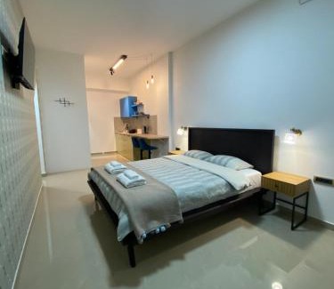 Valjevo Apartment | Viridian Three Accommodation, Studio 2
