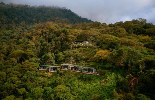 Ballena Hotel | Vista Celestial