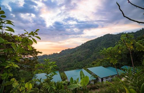 Ballena Hotel | Vista Celestial
