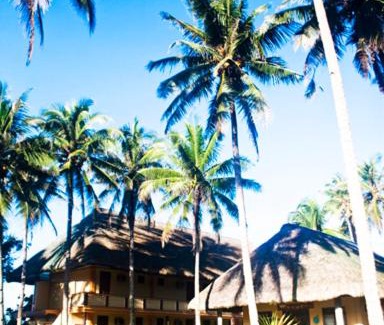 Donsol Resort | Vitton Resort