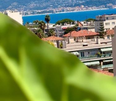 La Californie Apartment | Votre grand COCON Nicois