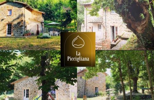 Arcidosso House | Vrijstaand vakantiehuis La Piccigliana - 6 personen
