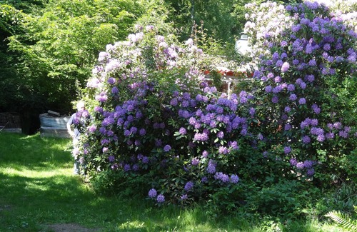 Torna-Hallestad Cottage | VYAHUSET - Cozy cottage by nature reserve