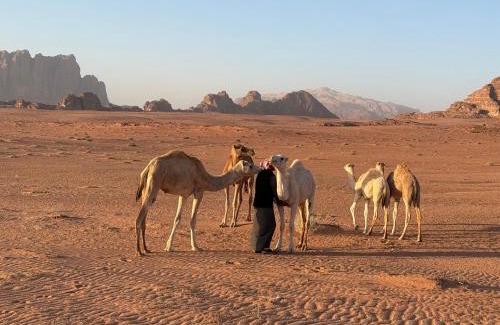 Wadi Rum Other | Wadi Rum Desert Cave experience