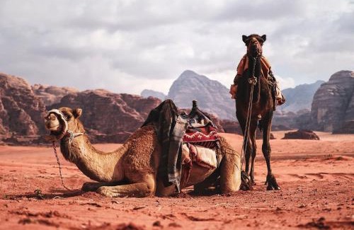 Wadi Rum Other | Wadi Rum Nights
