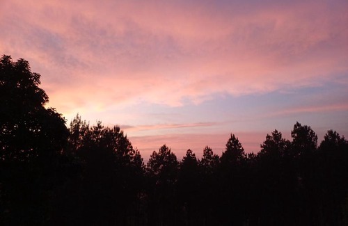 Haenertsburg Apartment | Wald Ecke