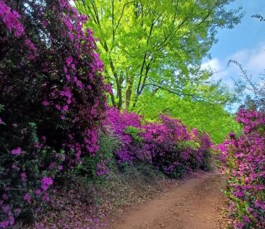 Haenertsburg Apartment | Wald Ecke