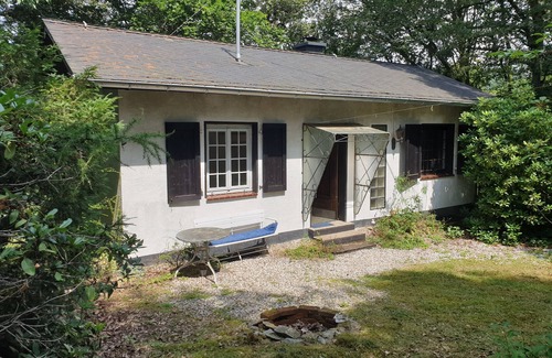 Farschweiler House | Waldhaus Aus-zeit Hunsrück Hochwald: Genuss, Kunst, Stille