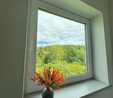 Gemunden Apartment | Waldzauber - Moderne Ferienwohnung im Grünen