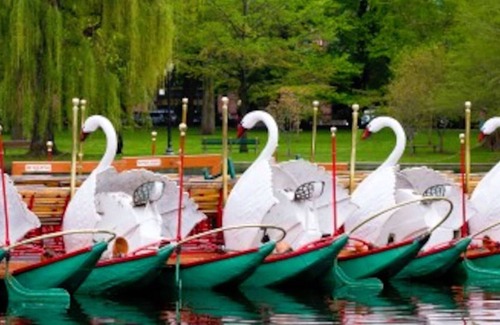 Beacon Hill Apartment | 🌳Walk to MGH🏨Private Patio🌲5 Star🌻Disinfected🐶Dogs Ok🌳Laundry on Site🌳