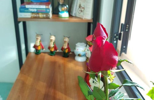 Tu Liem House | Water puppet nest - private and cozy space for you