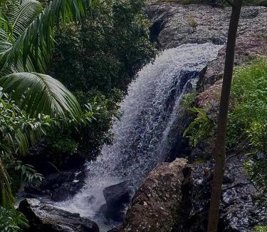 Carool Apartment | Waterfall Lodge