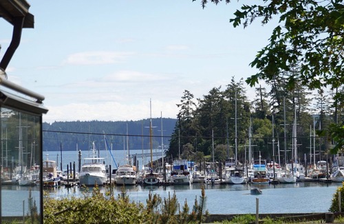 West Sound Cottage | Waterfront cottage with tidelands, creek and waterfall!