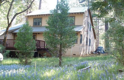 North Wawona House | Wawona Home