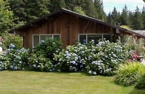 Forks Cabin | Welcome to Cabin on the Middlerun - All Cedar Cabin On The Sol Duc River